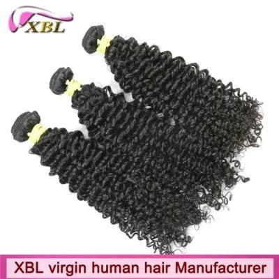 Hot Selling Remy Hair Weaving Mongolian Curly Hair
