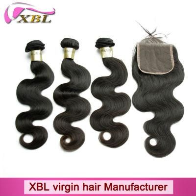 Promotion Price Brazilian Hair Weave and Hair Closure