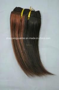 Top Quality Unprocesse Brazilian Straight Human Hair Weave Extension Made of Human Hair