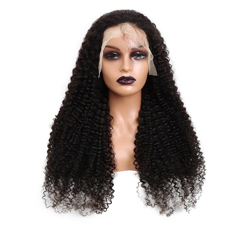 Lace Front Human Wigs for 100 Unprocessed Brazilian Straight