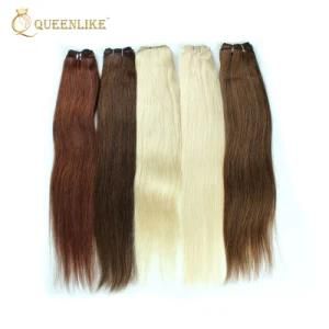 Wholesale Human Hot Sale High Quality Color Hair Extension