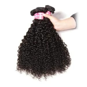 Curly Hair Weave Brazilian Human Hair Bundles Natural Black Human Hair Weaving