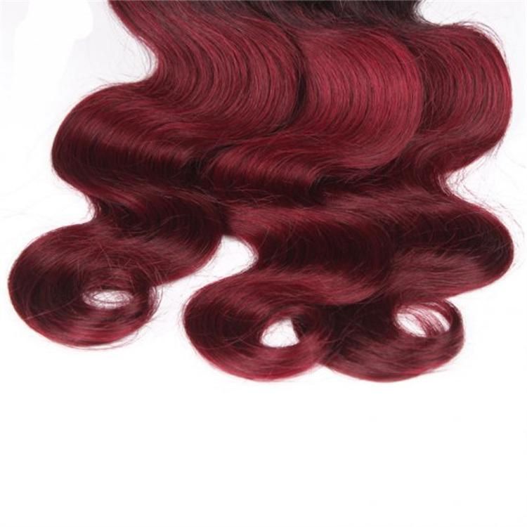 Unprocessed Dyed Easily Remy Human 1b/99j Body Wave with Closure Virgin Hair Body Wave