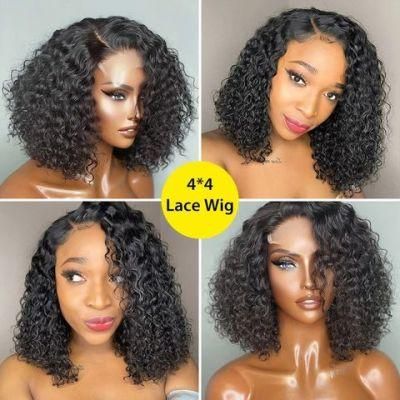 Wholesale Curly Transparent Lace Closure Human Hair Wig Virgin Raw Hair Natural Black Lace Wig Brazilian
