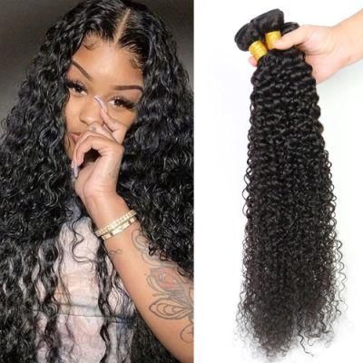 Factory Wholesale Kinky Curly Brazilian Virgin Human Hair Bundles Natural Black 26 Inch