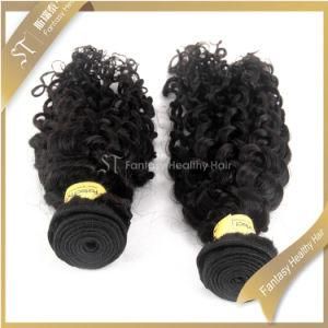 Afro Kinky Curly 100% European Hair Extension Human Weft