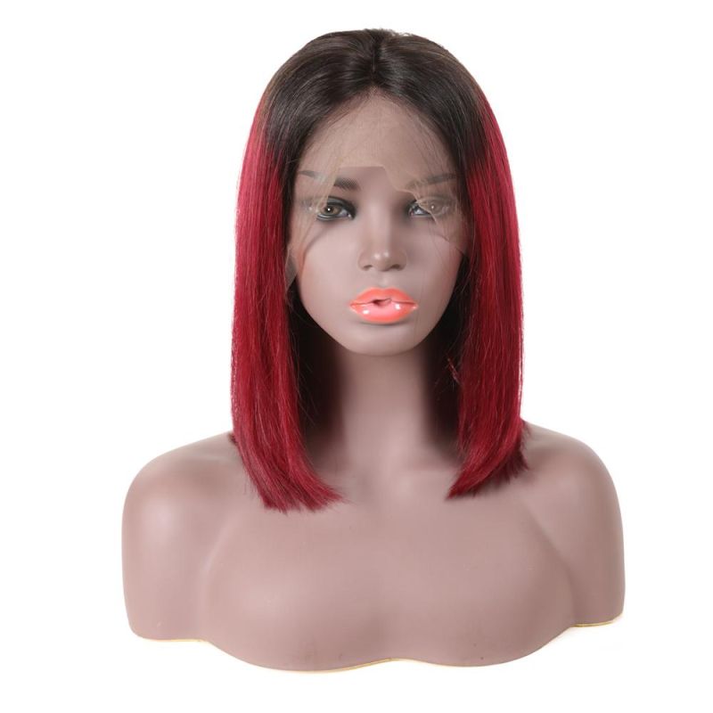 Customized Color Available Ombre Color Human Hair Wigs Lace Frontal Wigs