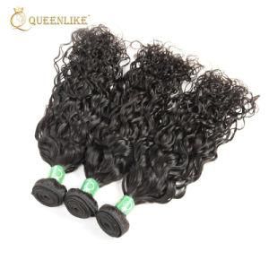 Natural Remy Raw Brazilian Vendors Human Virgin Hair