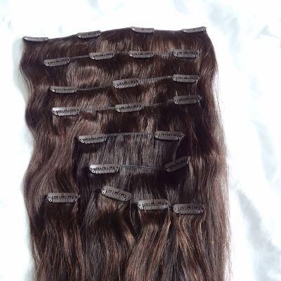 European Straight Human Remy Hair Clip in Extensions Hhci-20