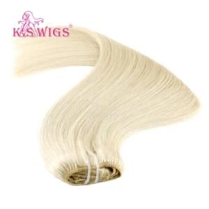 100% Remy Hair Virgin Hair Clip in Hair Extension
