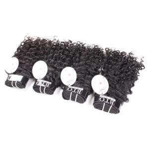 Virgin Brazilian Cuticle Aligned Remy Natural Hair Extensions
