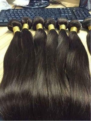 100% Human Virgin Silky Straight Brazilian Human Hair Wig