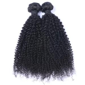 100% Human Hair Remy Hair Weaves Malaysian Kinky Curly Bundles