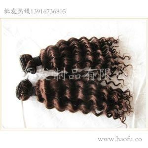 Human Hair Wigs