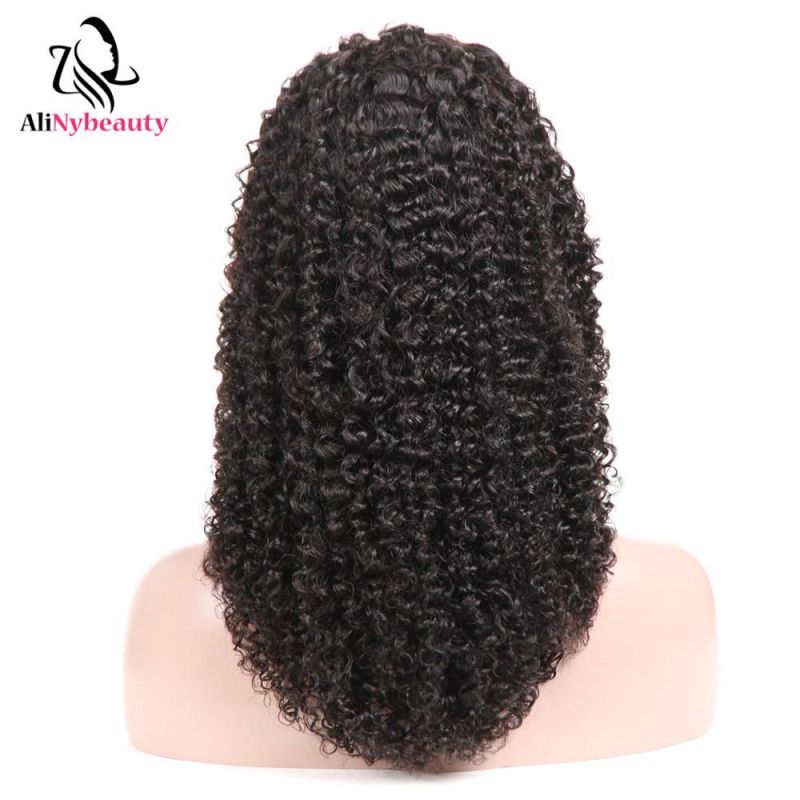 Alinybeauty 100% Virgin Human Hair Jerry Curly Lace Front Wig