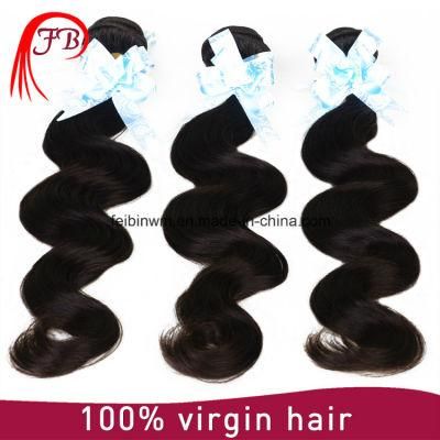 100% Virgin Remy Brazilian Body Wave Human Hair Weft