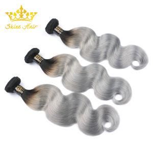 1b/Gray Hair Bundle 100% Color Brazilian Human Hair with Free Tangle