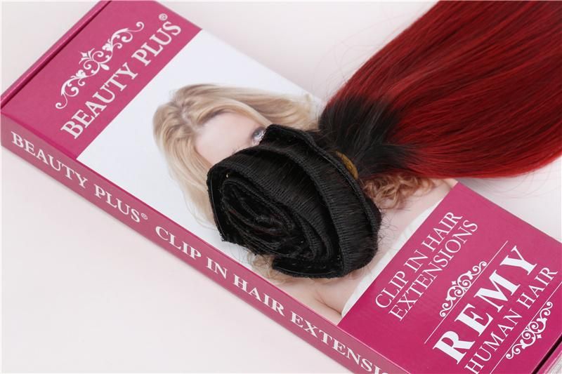2020 Fashion 100% Brazilian Remy Clip in Hair Extension, Ombre Color Russian Virgin Hair Clip in Human Hair Extensions