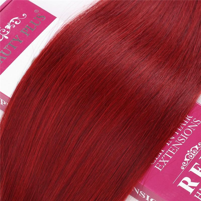 2020 Fashion 100% Brazilian Remy Clip in Hair Extension, Ombre Color Russian Virgin Hair Clip in Human Hair Extensions