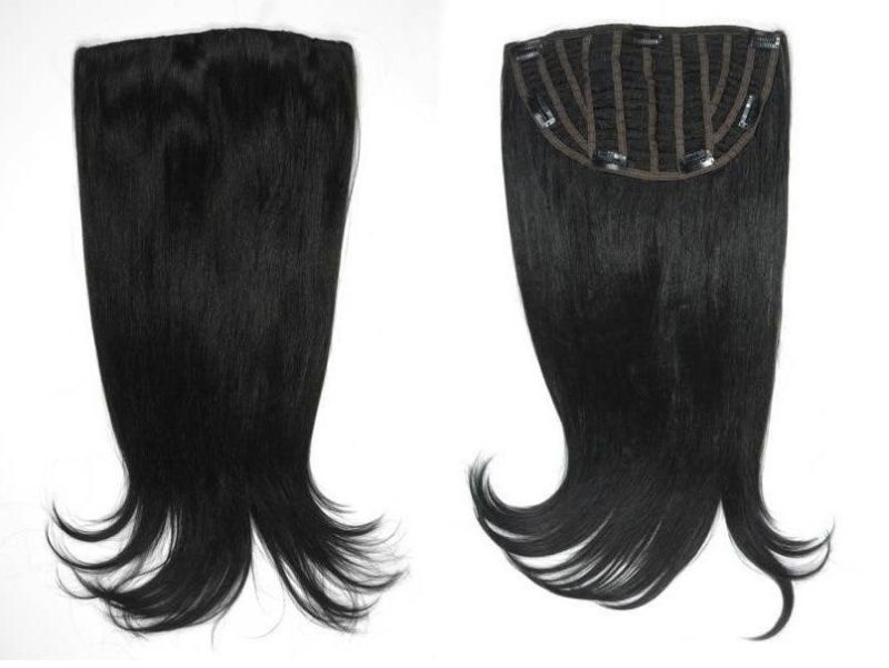 100% Virgin Hair Brazilian Hair Extension Clip on Hair Extension (AV-HW00-1)
