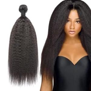 Free Sample 100% Best Virgin 10A Kinky Human Brazilian Hair