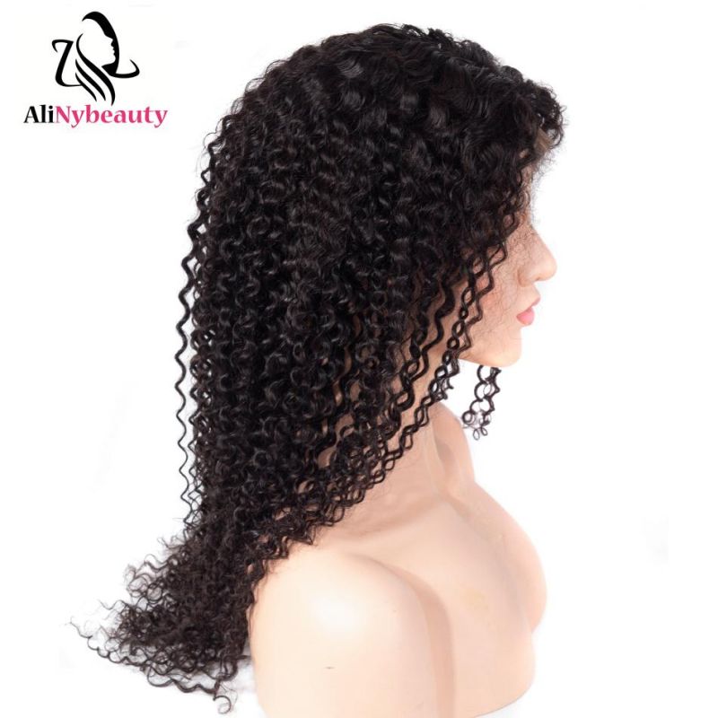 Alinybeauty 100% Virgin Human Hair Jerry Curly Lace Front Wig