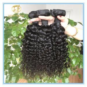 Top Quality Unprocessed Natural Black Deep Curly 8A Grade Peruvian Human Hair in Full Cuticle Cut From One Donor with Factory Price Wfp-040