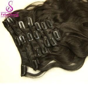 100 Percent Virgin Human Hair Clip in Hair Extension