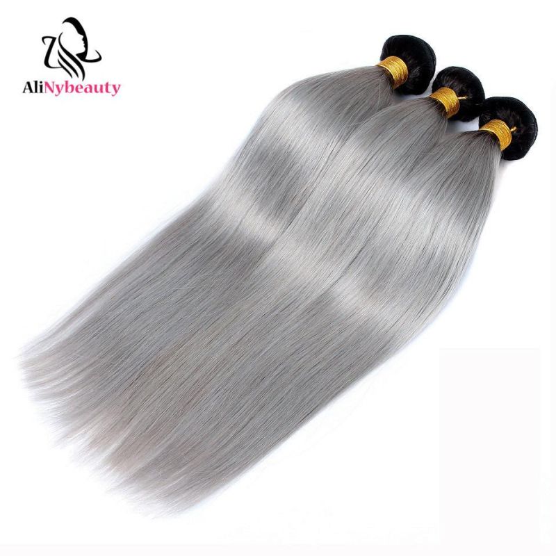 Alinybeauty Straight Bundles Brazilian Human Hair 1b/Grey Color