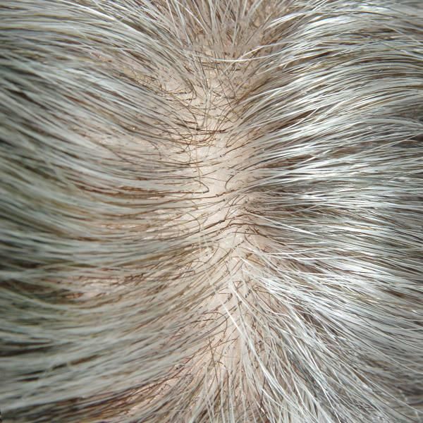 Ljc473 Indian Human Hair with Grey Hair in Synthetic Hairpiece