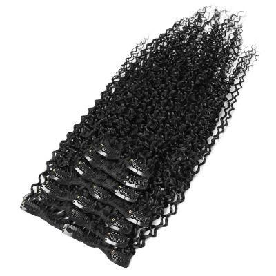 Sample Available Curly 100% Remy Human Hair Clips in Hair