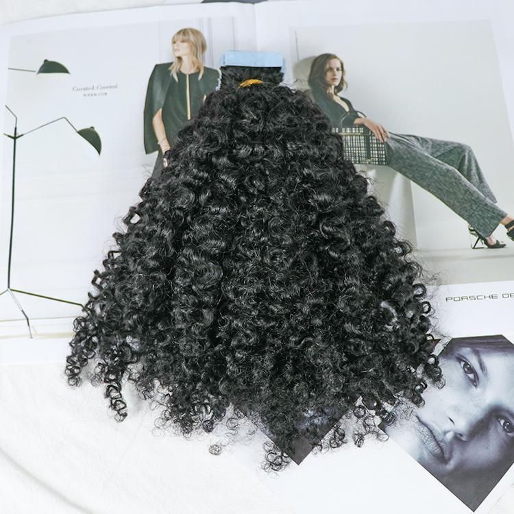 100% Raw Indian Hair Jerry Curly Tape in Hair Extension