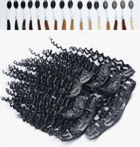 100% India Hair Clip in Hair Extensions Half Wigs