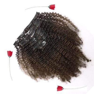 Brazilian African American Clip Human Hair Extensions Clip Ins Curl Coily Remy Hair