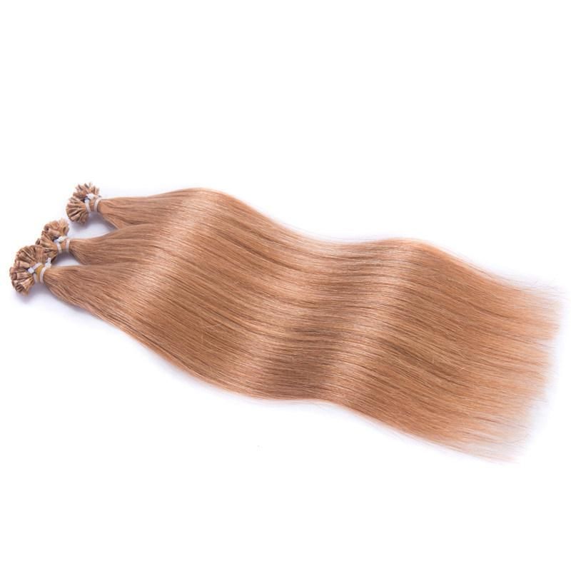 U Tip Hair Extensions Human Hair Highlighted 100 Strands Keratin