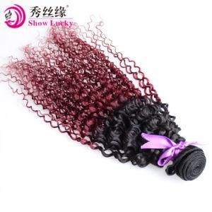 10A Cambodian Virgin Hair Kinky Curly Ombre 1b/99j Human Hair Weft