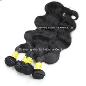 Favorable Price 16&quot;~28&quot; Chinese/Brazilian Virgin Human Hair Weft (Weaving) Extension