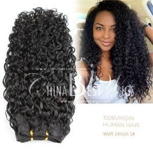 Virgin Hair Black Curl Weft
